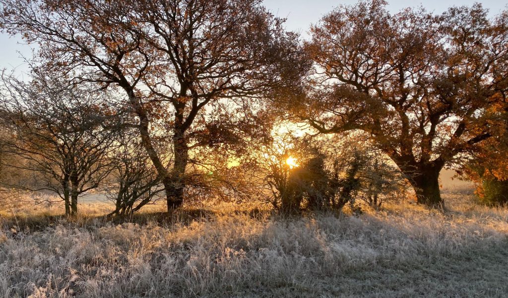 Middlewick in Winter